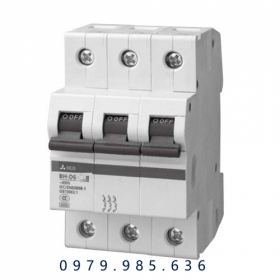 BH-D6 3P 10A 